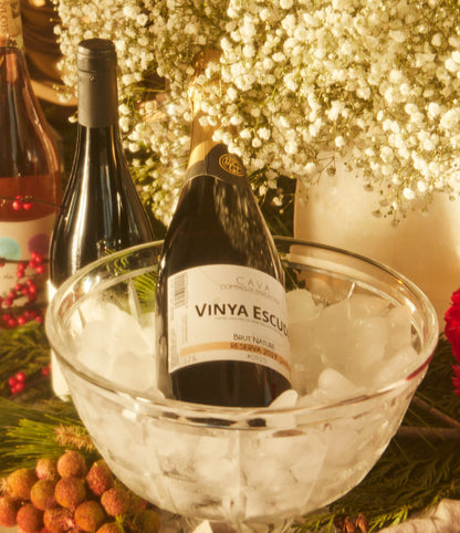 Day 5: Holiday Bubbly